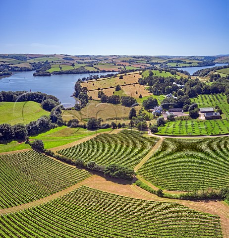 Vineyards of Sandridge Barton Wines with the River Dart beyond Stoke Gabriel Devon England