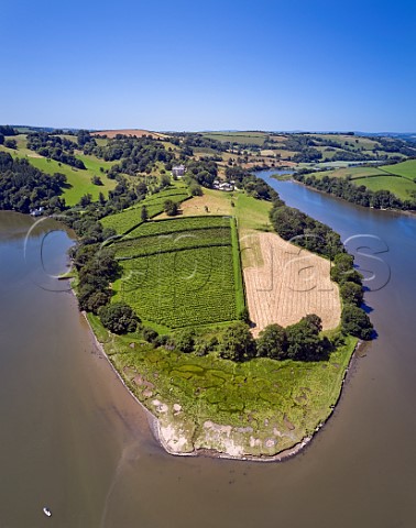 Sharpham Vineyard situated on a bend in the River Dart  Ashprington Devon England