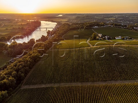 Vineyards by the Garonne River at sunset Le Haut Langoiran Gironde France  Cadillac  Bordeaux