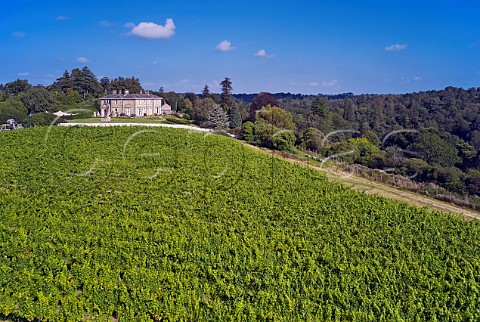 Pinotage vineyard below the house at Leonardslee Gardens Lower Beeding Horsham Sussex England