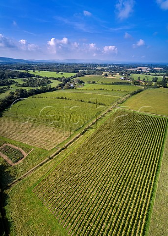 Albourne Estate vineyards Albourne Sussex England