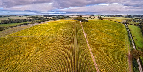 Pinglestone Estate vineyard of Louis Pommery Alresford Hampshire England