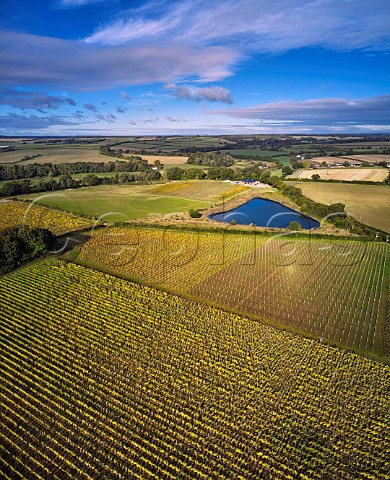 Pinglestone Estate vineyard of Louis Pommery Alresford Hampshire England