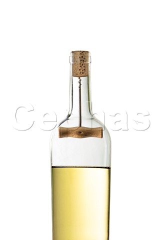 Bottle of white wine with corkscrew inside
