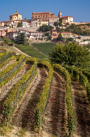 Vineyards below the town of La Morra Piedmont Italy Barolo