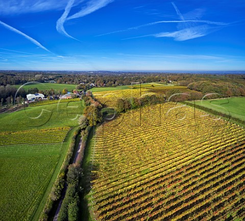 Biddenden Vineyards Biddenden Kent England