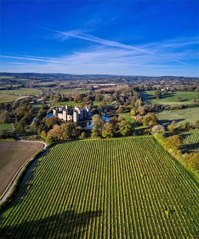 Vineyards of Sedlescombe Organic by Bodiam Castle  Bodiam East Sussex England