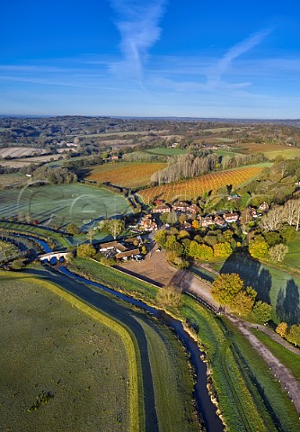 Vineyards of Sedlescombe Organic above the River Rother at Bodiam East Sussex England