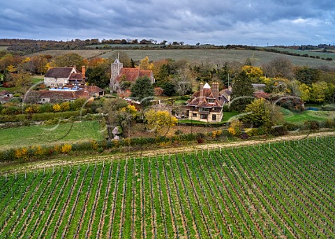 Young vineyard of Silverhand Estate by the village of Luddesdown and its 13thcentury church Gravesham Kent England