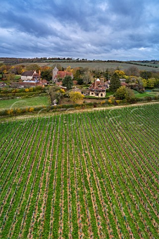 Young vineyard of Silverhand Estate by the village of Luddesdown and its 13thcentury church Gravesham Kent England