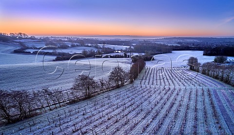 Frosty dawn at Godstone Vineyards Godstone Surrey England
