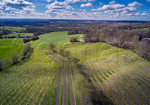 Godstone Vineyards in early spring with sections that have been rotovated ready for planting new vines Godstone Surrey England