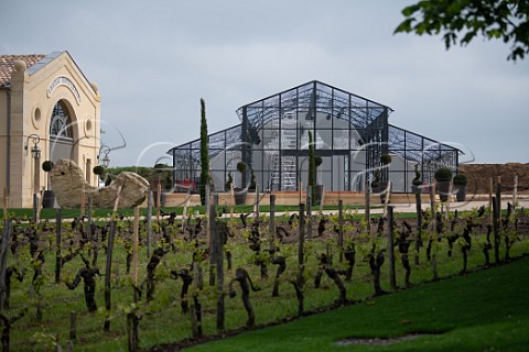 Chteau Trotte Vieille and its vineyard Stmilion Gironde France  Saintmilion  Bordeaux