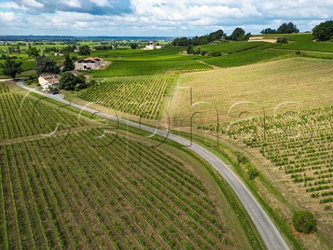 Vineyards at StEtiennedeLisse Chteaux Mangot Faugeres and PebyFaugeres Gironde France  Saintmilion  Bordeaux