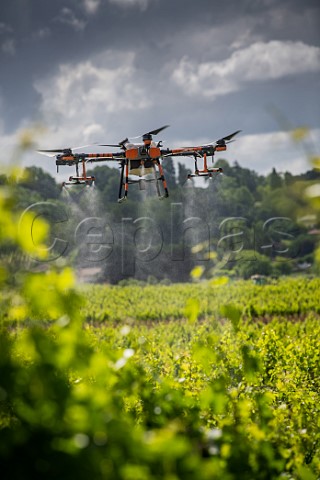 Drone spraying vineyard of Chteau Mangot StEtiennedeLisse Gironde France  Stmilion  Bordeaux