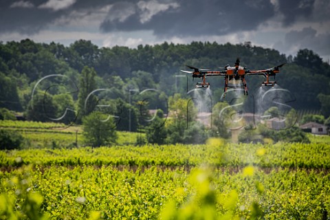 Drone spraying vineyard of Chteau Mangot StEtiennedeLisse Gironde France  Stmilion  Bordeaux