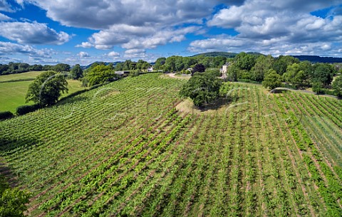 Vineyard and winery of Ancre Hill Estates  Monmouth Monmouthshire Wales