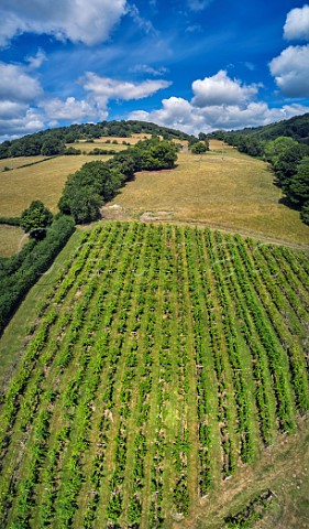 The Sugar Loaf Vineyards Abergavenny Monmouthshire Wales