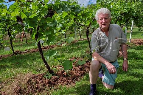 Richard Morris in biodynamic vineyard where the undervine management is by ploughing Ancre Hill Estates Monmouth Monmouthshire Wales