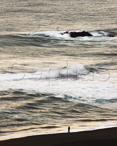 Fishing at sunrise in the Pacific Ocean Matanzas Beach Colchagua Chile