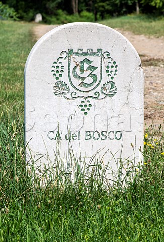Marker Stone in vineyard of Ca del Bosco Erbusco Franciacorta Lombardy Italy
