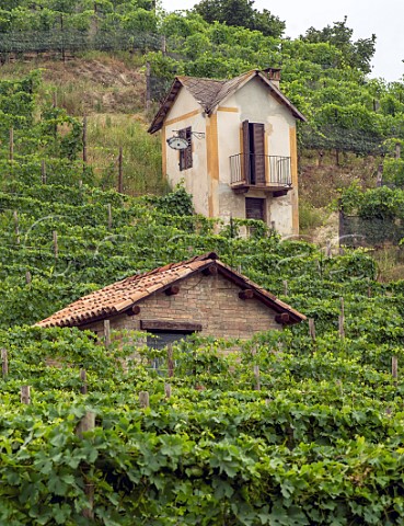 Two ciabot workers huts in the Cannubi vineyard Barolo Piedmont Italy
