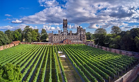 Carlton Towers and its walled garden vineyard The sails provide shelter for the workers Carlton Goole East Yorkshire England