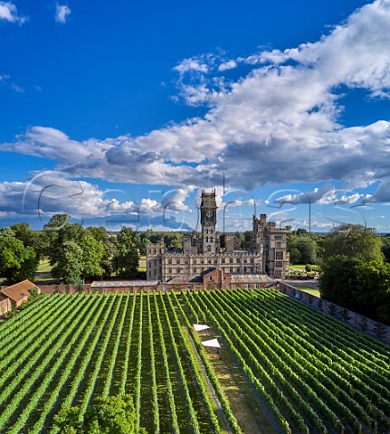 Carlton Towers and its walled garden vineyard The sails provide shelter for the workers Carlton Goole East Yorkshire England