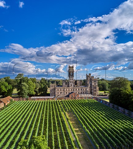 Carlton Towers and its walled garden vineyard Carlton Goole East Yorkshire England