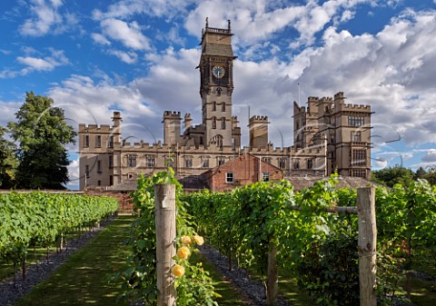 Carlton Towers and its walled garden vineyard Carlton Goole East Yorkshire England