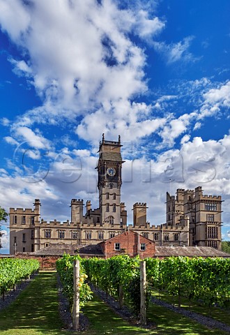 Carlton Towers and its walled garden vineyard Carlton Goole East Yorkshire England