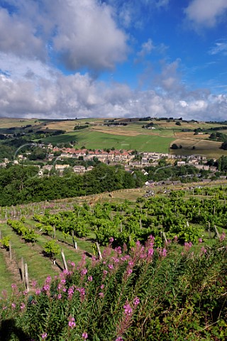 Holmfirth Vineyard above Holmbridge and the Holme Valley West Yorkshire England