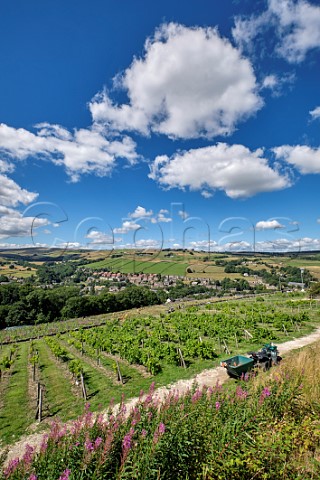 Holmfirth Vineyard above Holmbridge and the Holme Valley West Yorkshire England