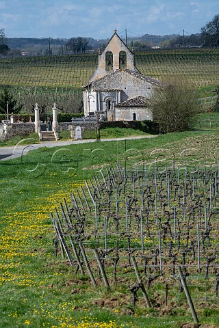 Spring in vineyards near Soulignac Gironde France EntreDeuxMers  Bordeaux