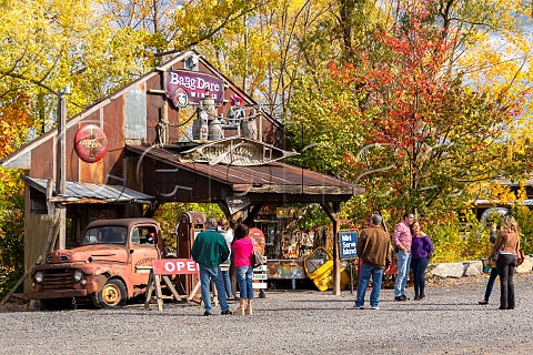 Tourists at Bagg Dare Wine Company  Geneva New York USA Finger Lakes