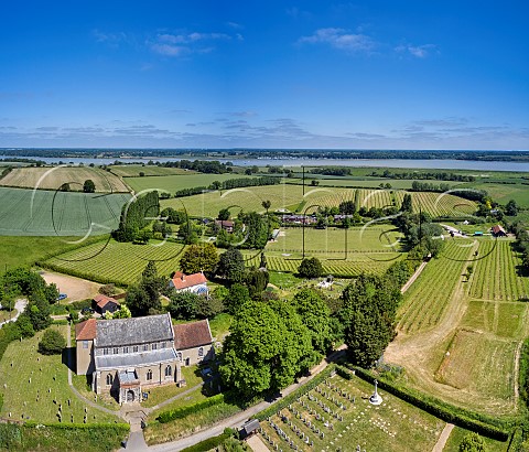 Shotley Vineyard with St Marys Church in foreground and River Orwell beyond Shotley Suffolk England