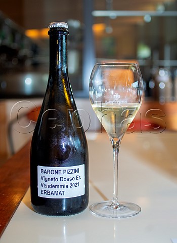 Glass of Erbamat from Barone Pizzini Erbamat is an ancient variety that is being planted today to combat climate change as it has high acidity It can only be used in small percentages in a Franciacorta wine Provaglio dIseo Lombardy Italy Franciacorta