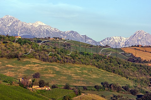 Peaks in the Gran Sasso National Park as seen from the estate of Francesco Cirelli Treciminiere Abruzzo Italy