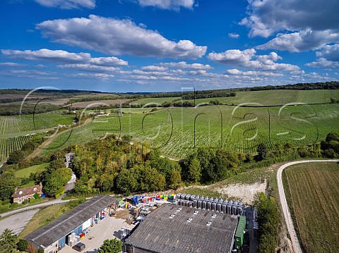 Winery and vineyards of Silverhand Estate at Luddesdown Gravesham Kent England