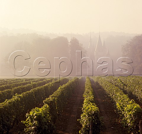 Chteau de Nozet viewed over Sauvignon Blanc vineyard on a misty harvest morning PouillysurLoire Nivre France   PouillyFum