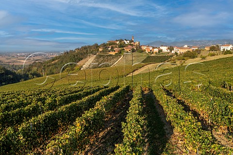 Timorasso vineyards of Walter Massa Vigneti Massa with Monleale village beyond Piemonte Italy Colli Tortonesi