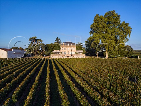 Chteau Taillefer and its vineyard Pomerol Gironde France Pomerol  Bordeaux