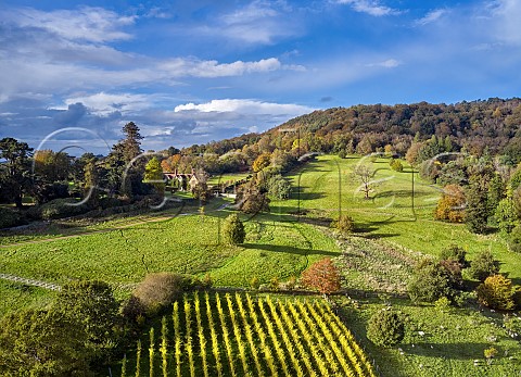Top section of Blackdown Ridge Estate Vineyard with Weyborne Estate House and Black Down beyond  Haslemere Sussex England