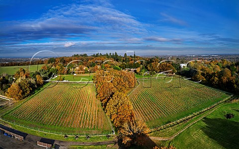 The Grape Escape Vineyard of Neil Corbould Chardonnay block on left and Pinot Noir and Meunier on right The cannons are from the film Napoleon   St Anns Hill Farm Chertsey Surrey England