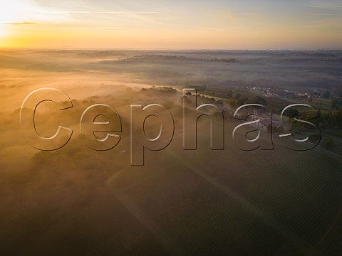 Autumn fog at sunrise in the Garonne Valley at Rions  Gironde France  Cadillac  Ctes de Bordeaux