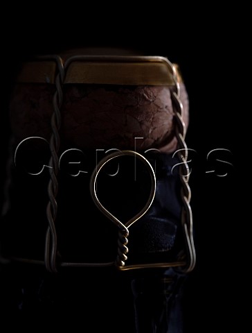 Cage and cork on a bottle of sparkling wine