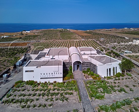 Vassaltis vineyards on sale