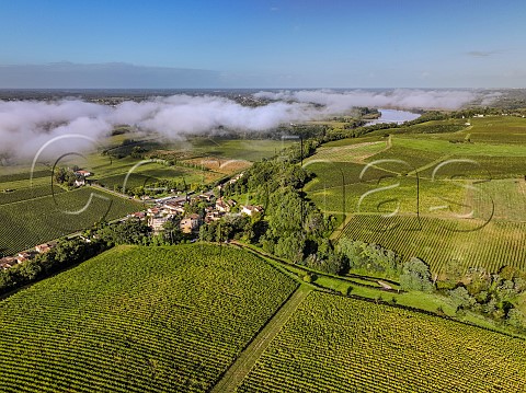 Early morning fog lifting over vineyards at Langoiran with the Garonne River beyond Gironde France  Cadillac  Bordeaux