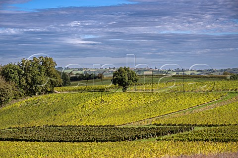Vineyards of SainteCroixduMont Gironde France SteCroixduMont  Bordeaux