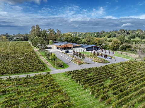 Chteau de Malherbes and its vineyard  Latresne Gironde France  Bordeaux